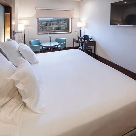 格拉纳达巴塞罗国会酒店 酒店 5*